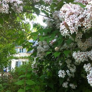 La Butte De Gohier Bed & Breakfast Blaison Exterior photo