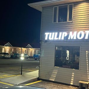 Tulip Motel วู้ดสต็อก Exterior photo