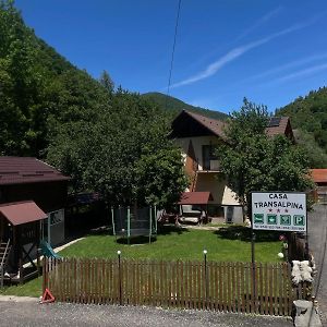 Pensiunea Casa Transalpina ชูกัก Exterior photo