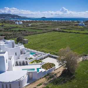 Maestro Villas Naxos Naxos City Exterior photo