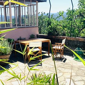 Artists' Holiday Home Near Cinque Terre - 4 Bedrooms, Large Terrace, Great Views Groppo  Exterior photo