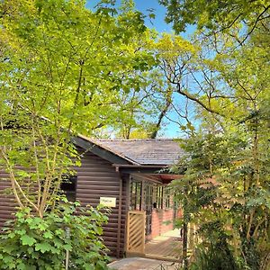 Shrew Lodge-Woodland Lodges-Hot Tub-Pembrokeshire-Tenby คาร์มาเทน Exterior photo