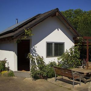 Saunahaus Mit Swimmingpool In Berlin Villa Exterior photo