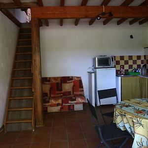 Gite 1 Ferme Equestre Les Coccinelles Apartment Lurs Exterior photo