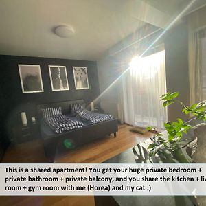 Funkadelic Retreat Transylvania, Private Room&Bath In Shared Apartment With Host&Cat คลูจ-นาโปกา Exterior photo