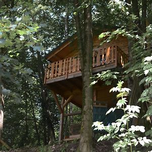 Treehouse Velke Losiny Villa Exterior photo