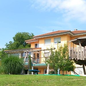 Ferienwohnung Plaetzchen Im Gruenen Owingen Exterior photo