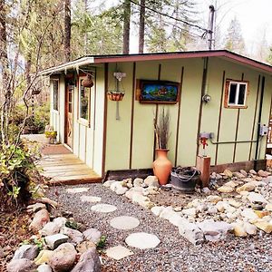 Mt Rainier Little Green Cabin On Big Creek! Villa แอชฟอร์ด Exterior photo