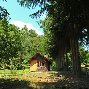 Planinska Kuca Palacinka Villa เดสโปโตวัก Exterior photo