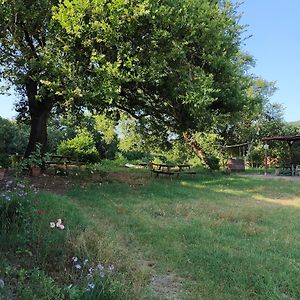 Agriturismo Il Casalino Guest House Pari Exterior photo