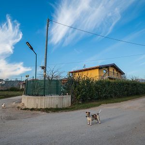 Roberta House Bed & Breakfast อิแซร์เนีย Exterior photo