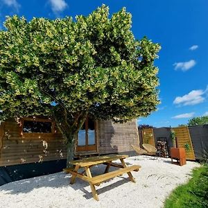 Tiny House Petite Balneo Cheminee Exterieure Villa Lisle-sur-Tarn Exterior photo