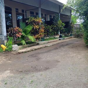 Bintang Senaru Inn Exterior photo