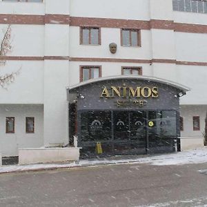 Animos Butik Otel อังการา Exterior photo