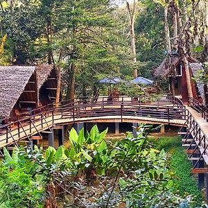 Longoza Ecolodge Andasibe Exterior photo