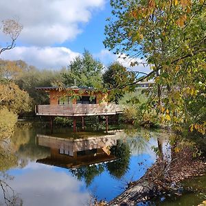 Tinyhousebeidresden 2 Im Teich - Naehe Saechsische Schweiz, Dresden, Mit Badeteich Villa Grossharthau Exterior photo