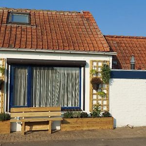 Schrijvershuisje - Sfeer & Stilte Zeeuws Vlaanderen Villa Zaamslag Exterior photo