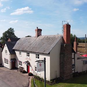 The Red Lion, Madley Hotel เฮริฟอร์ด Exterior photo