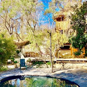 La Casa Entre Los Arboles En El Valle De Elqui Montegrande Villa ไปวาโน Exterior photo