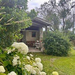 Pedauge Bed & Breakfast Moncrabeau Exterior photo