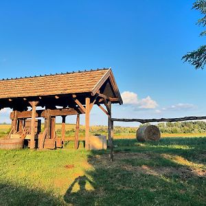 Buzal-Morocza Pinceszet Es Szallashely Bed & Breakfast เอทเยค Exterior photo