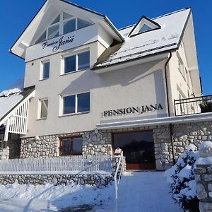 Pension Jana - Wellness Hotel ยีเลมนิเซ Exterior photo