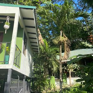 Luxury Jungle On A Budget Wisdom Bnb Bed & Breakfast คาร์ริลโล Exterior photo