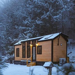 Sage House At Camp Greenwood Vermont With Sauna Villa Chester Exterior photo