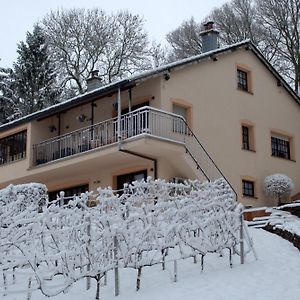 Casavitis Erholung Am Weinberg Apartment Lontzen Exterior photo