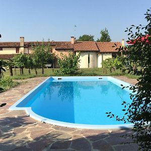 Terrace Apartment, Pool, Garden, Treviso Silea Exterior photo