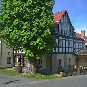 Hotel U Zeleneho Stromu - Zum Gruenen Baum ฮเรนสโก Room photo