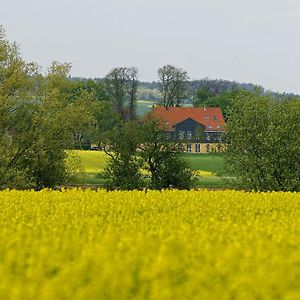 Landhaus Heidekrug Hotel ฮิลเดสไฮม์ Exterior photo