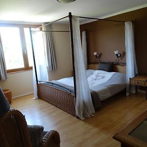 L'Enclos B&B แชติญง-ออง-ดิอัวส์ Room photo