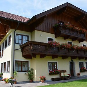 Appart Weisse Urlauben Am Wolfgangsee ซังคท์กิลเกอ Exterior photo