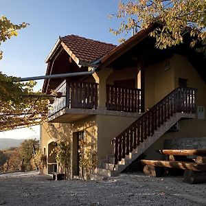 Vineyard Cottage Brodaric เมทลิกา Exterior photo