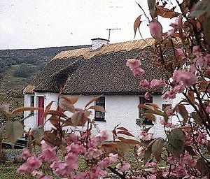 Connemara Country Cottages กัลเวย์ Exterior photo