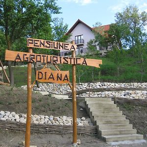 Pensiunea Agroturistica Diana Hotel โมกุรา Exterior photo