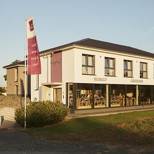 Meyerhof - Weingut, Vinothek & Gaestehaus Hotel ฟลูนไฮม์ Exterior photo