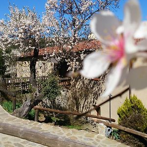 Valdolazaro Guest House Los Navalucillos Exterior photo