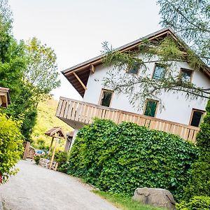 Oeko-Park Panzio, Kemping Es Rendezvenykoezpont Hotel Szarvasko Exterior photo