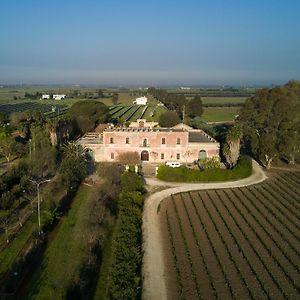 Masseria Mazzetta Salento Corte Del Falconiere B&B ซาลิเช ซาเลนติโน Exterior photo