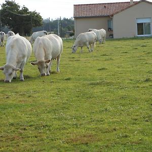 Chambre D'Hotes La Basse Gougeonniere Bed & Breakfast Neuvy-en-Mauges Exterior photo