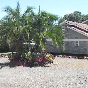 Meg'S Guest House เอลโดเร็ท Exterior photo