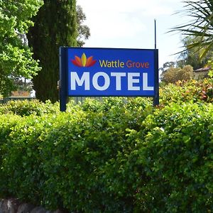 Wattle Grove Motel แมรีโบโร Exterior photo