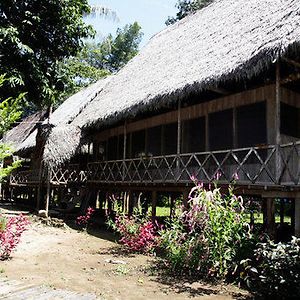 Jungle Wolf Expeditions Hotel Nauta Exterior photo