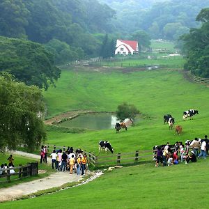 Flying Cow Ranch Hotel Tongxiao Exterior photo