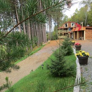 La Maison Sous Les Arbres Bed & Breakfast Saint Roch de Mekinac Exterior photo