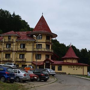 Vila Pufu Hotel สลานิก-มอลโดวา Exterior photo