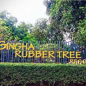 Singha Rubber Tree Hotel ไทรโยค Exterior photo