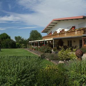 Gaestehaus Vinetum Hotel Altdorf  Exterior photo